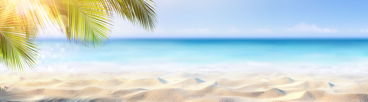 Happiness Mind Diaryweb版本当に幸せになる手帳21 Web版 ほんとうに幸せになる手帳21